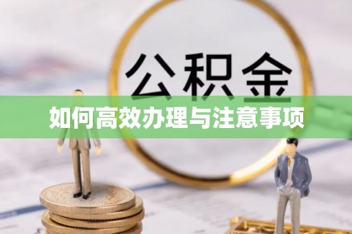 泾县如何高效办理与注意事项