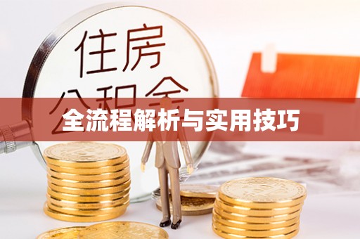 泾县全流程解析与实用技巧