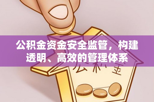 泾县公积金资金安全监管，构建透明、高效的管理体系