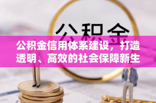 泾县公积金信用体系建设，打造透明、高效的社会保障新生态