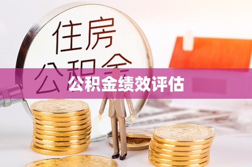 泾县公积金绩效评估