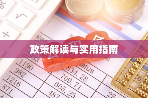 泾县政策解读与实用指南
