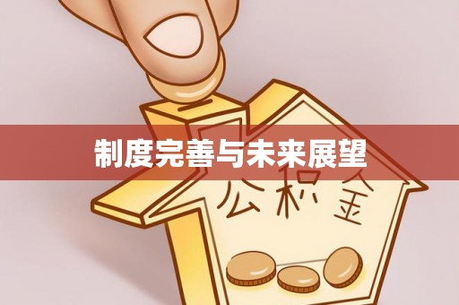 泾县制度完善与未来展望