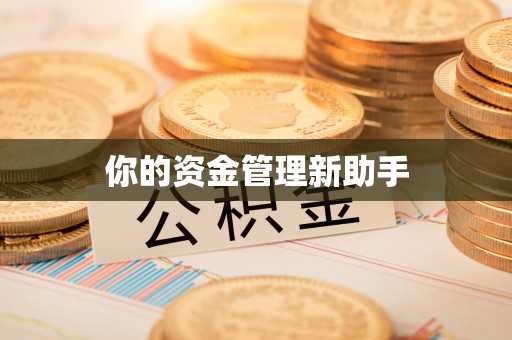 泾县你的资金管理新助手