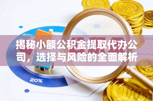 泾县揭秘小额公积金提取代办公司，选择与风险的全面解析