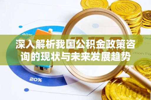 泾县深入解析我国公积金政策咨询的现状与未来发展趋势