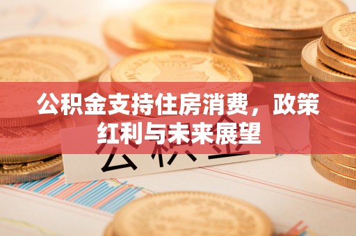 泾县公积金支持住房消费，政策红利与未来展望