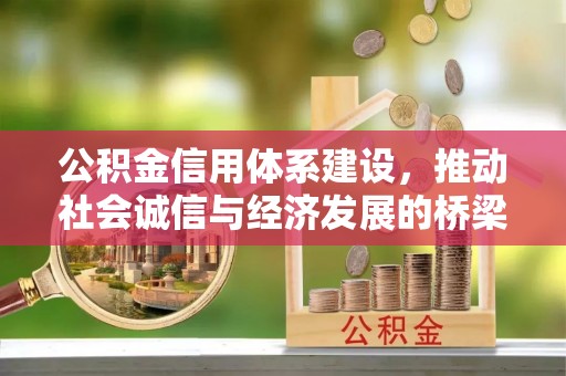 泾县公积金信用体系建设，推动社会诚信与经济发展的桥梁