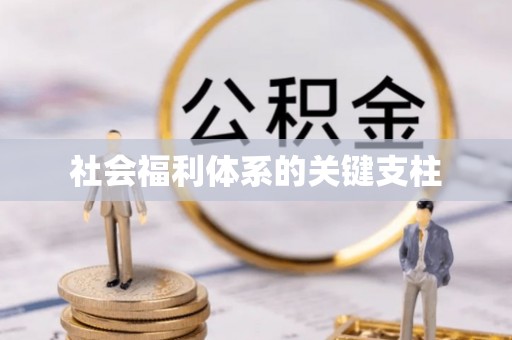 泾县社会福利体系的关键支柱