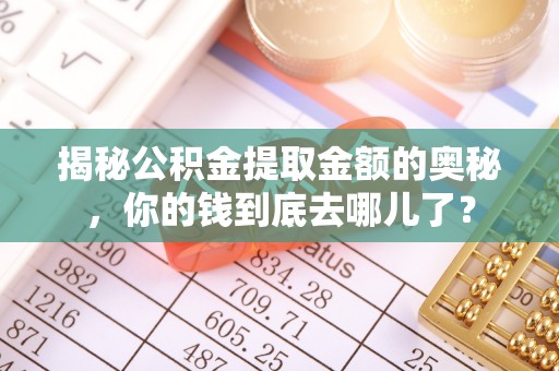 泾县揭秘公积金提取金额的奥秘，你的钱到底去哪儿了？