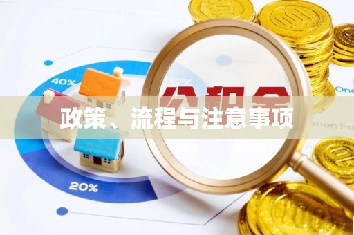 泾县政策、流程与注意事项
