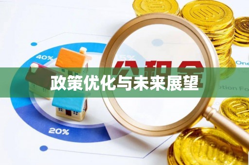 泾县政策优化与未来展望