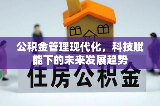 泾县公积金管理现代化，科技赋能下的未来发展趋势