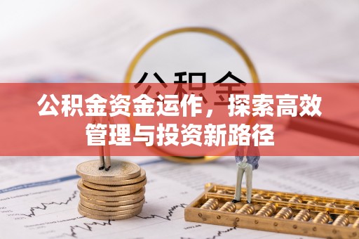 泾县公积金资金运作，探索高效管理与投资新路径