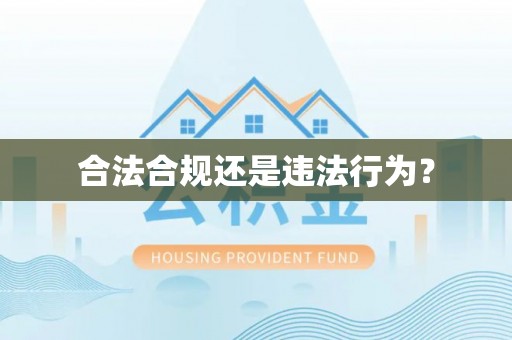 泾县合法合规还是违法行为？