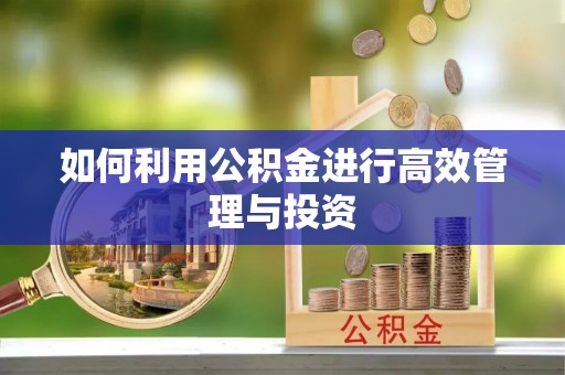 泾县如何利用公积金进行高效管理与投资