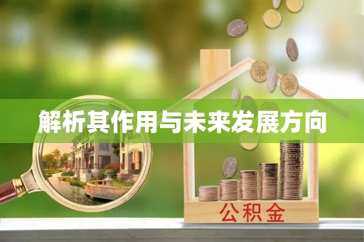 泾县解析其作用与未来发展方向