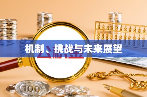 泾县机制、挑战与未来展望