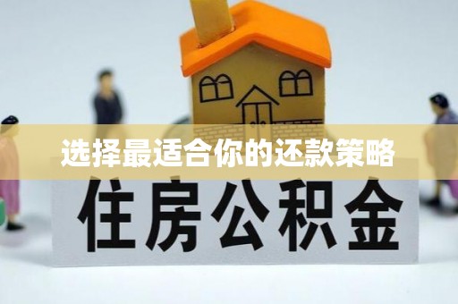 泾县选择最适合你的还款策略