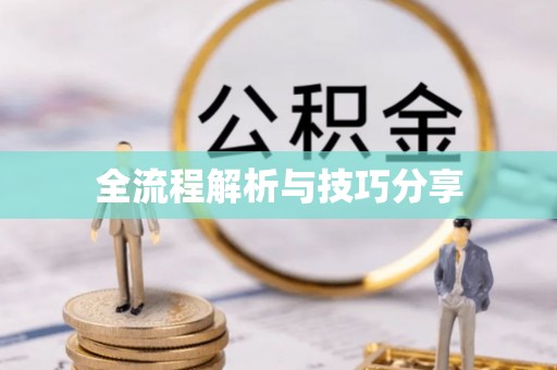 泾县全流程解析与技巧分享